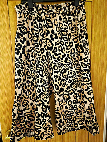 River island leopard animal - river,