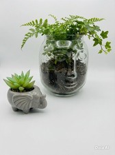 Sass & Belle Glass Face Vase