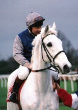 Desert Orchid Horse Racing