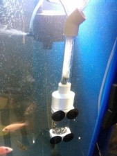 Aquarium cichlid egg tumbler - aquarium,