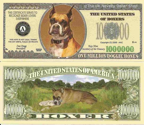 Boxer dog lovers - dog,