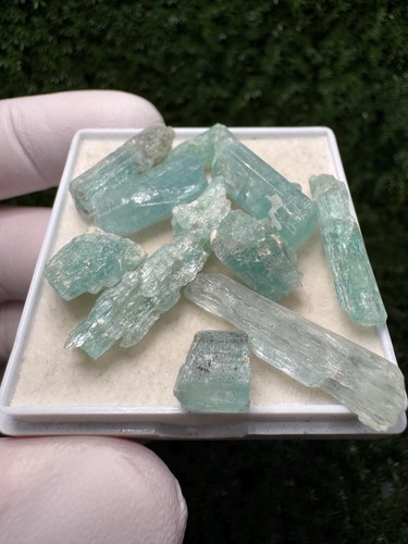 Rare aquamarine lot 10 - aquamarine,