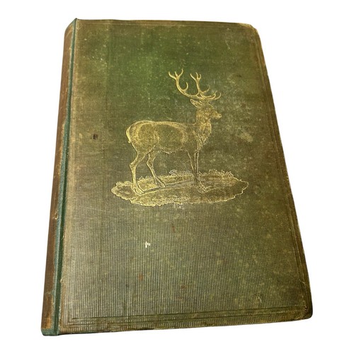 William scope the art deer - art,