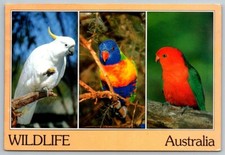 1986  Australia   The Major