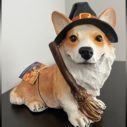 Halloween corgi wearing witch - wearing,