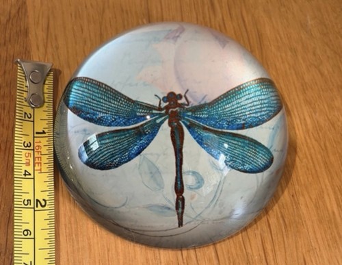 Blue turquoise clear glossy - turquoise,