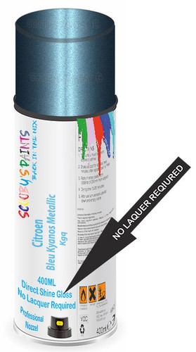 Paint for citroen bleu - paint,