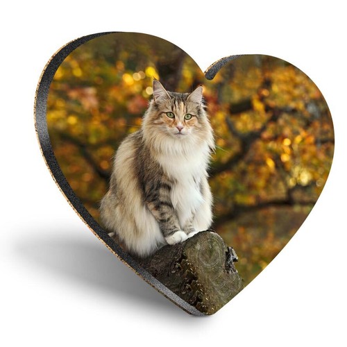 Heart mdf coaster norwegian - coaster,
