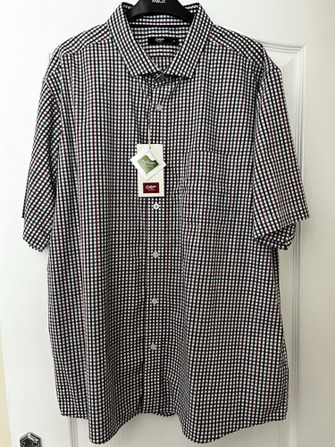 Cotton traders men short - cotton, men's