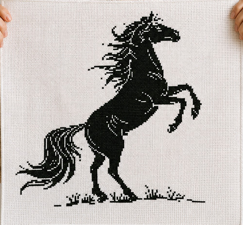 Counted cross stitch kit - counted,