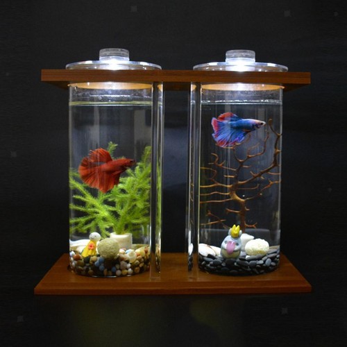Cylinder aquarium tank - aquarium, tank,