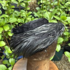 Vintage Ladies black Feather