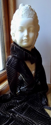 Brown velvet devore - brown,