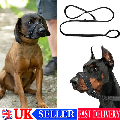 180cm figure dog - 180cm,