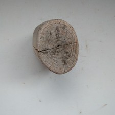 Driftwood Piece, For Display and Sculpture/home Decor, Textured, Natural, Craft