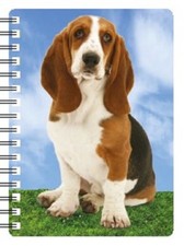 Basset Hound amazing 3D