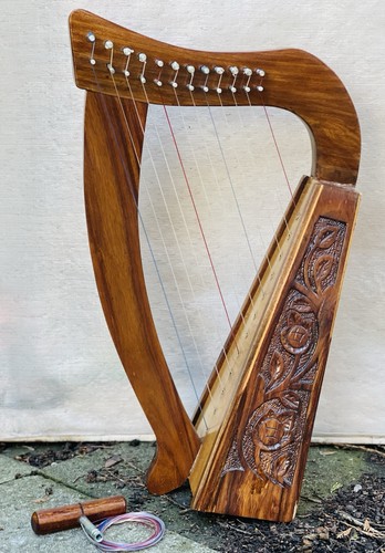 Stings musical instruments - 12,