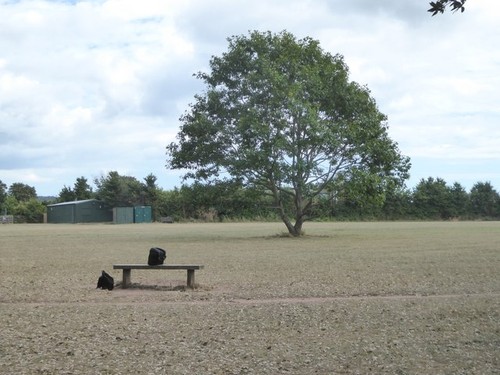 Photo 12x8 playing field and - 12x8,