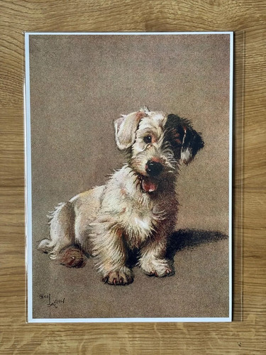 Cecil aldin terrier - cecil,