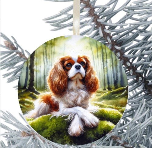 King charles cavalier - charles, spaniel