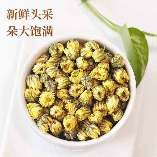 Chrysanthemum bud - chrysanthemum,