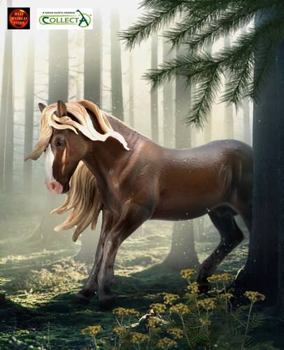 Black forest stallion horse - black,