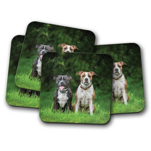 Set cute staffie dogs - staffie,