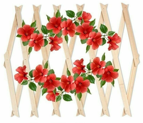 Expanding wooden trellis - wooden,