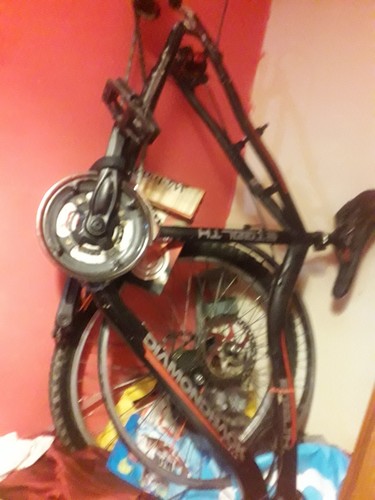 Mountain bike - mountain,