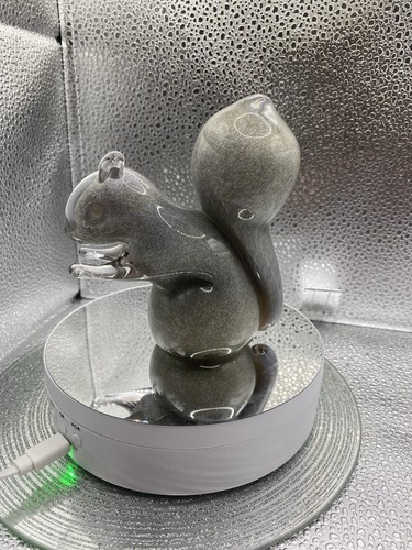 Squirrel wedgwood grey - wedgwood,