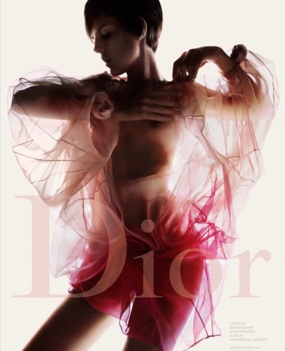 Dior galliano s 2006 - dior, s/s