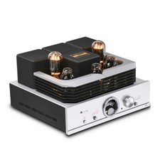HiFi 300B 805 50W RMS Tube