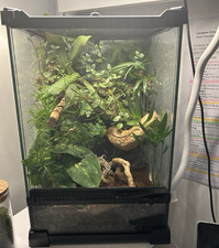 Custom handmade terrariums - custom,