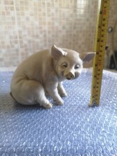 Pig Shudehill Gift ware Grey