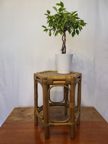 Vintage mid century - mid-century, hexagonal