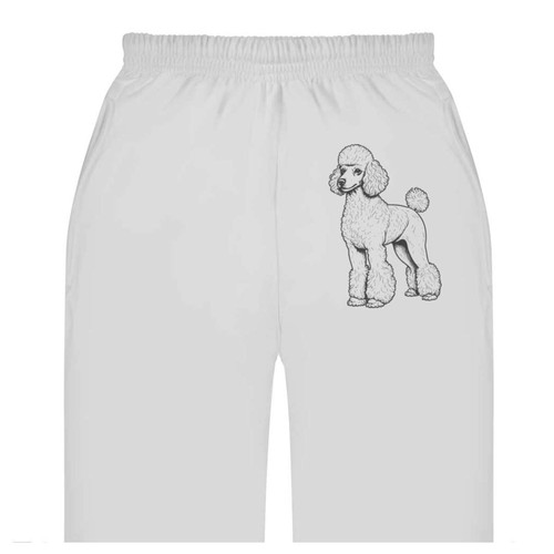 Standard poodle adult - 'standard,