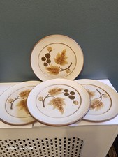 A Lovely  Set Of 4 DENBY  COTSWOLD  Salad Plates