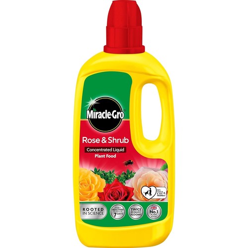 Miracle gro rose - miracle, and