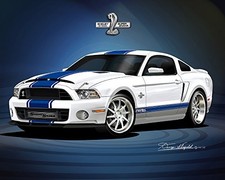 2013-2014 Mustang Shelby - Gt