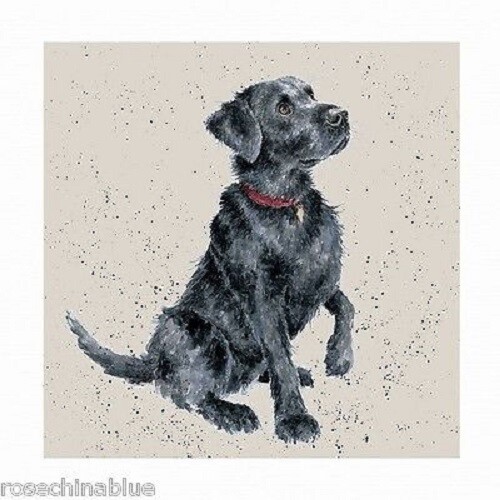 Wrendale card labrador - wrendale,