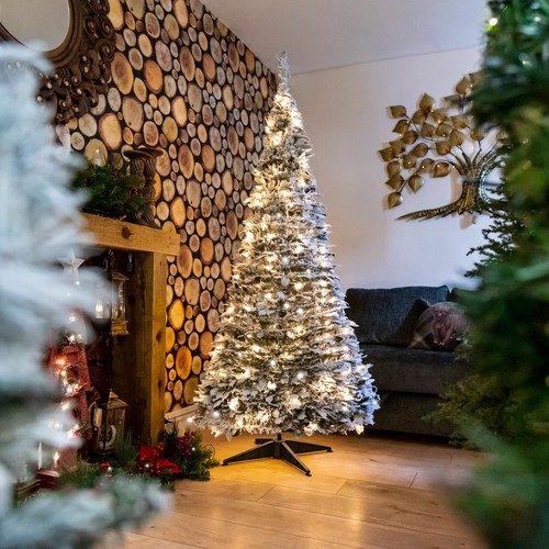 6ft pre lit pop - up, christmas