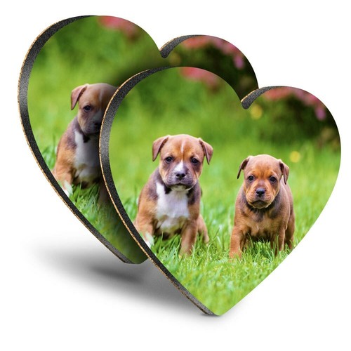 Heart mdf coasters - 2x,