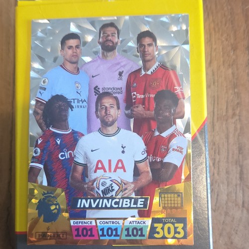 Panini adrenalyn premier - panini,