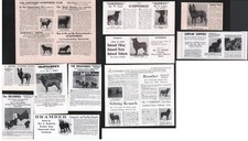 SCHIPPERKE DOG BREED KENNEL