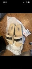 Puma Sliders