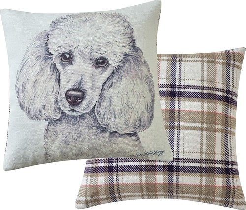 Viceni maturi mini poodle - viceni,