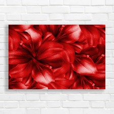 Discover Exquisite Lily