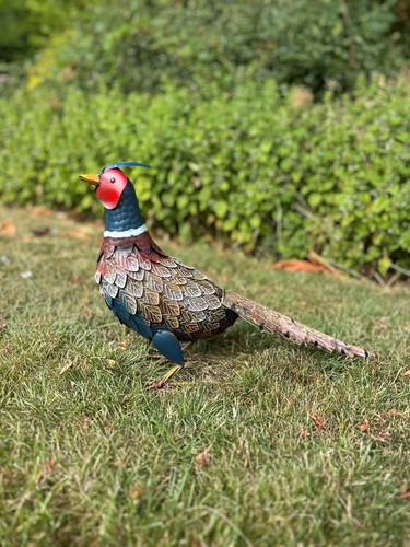 Decorative pheasant bird - decorative,