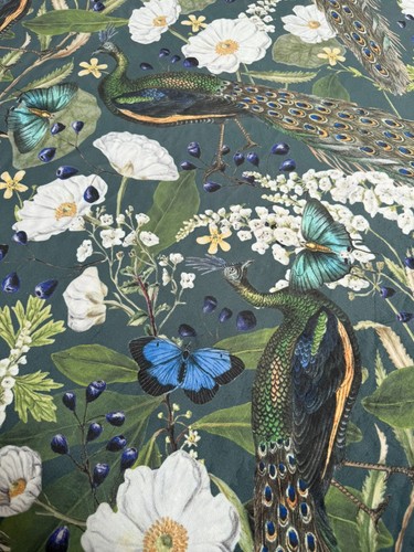 Peacock velvet fabric - peacock,