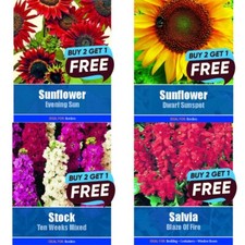 Flower Seeds UK Grow Your Own